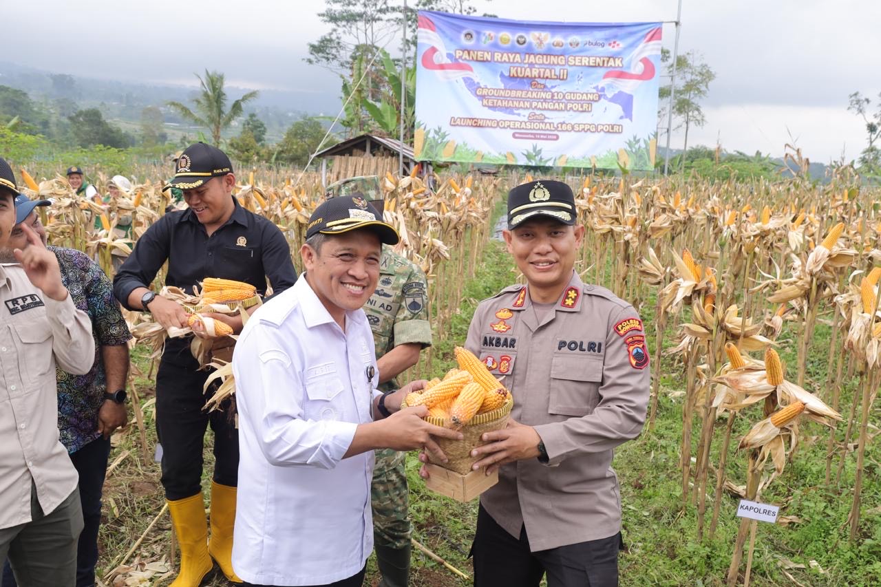 Ketahanan Pangan, Polres Wonosobo, Panen Jagung, Kecamatan Mojotengah, Bulog