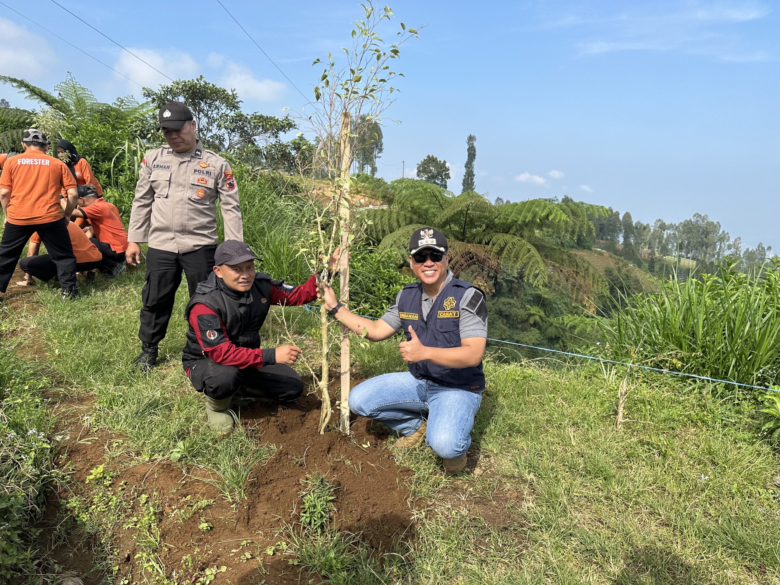 Gerakan penanaman pohon, Jalur Lingkar Sumbing Wonosobo, Konservasi lingkungan, Pencegahan krisis air, Pohon damar, Komunitas Tanpa Nama, Wisata alam Kalikajar