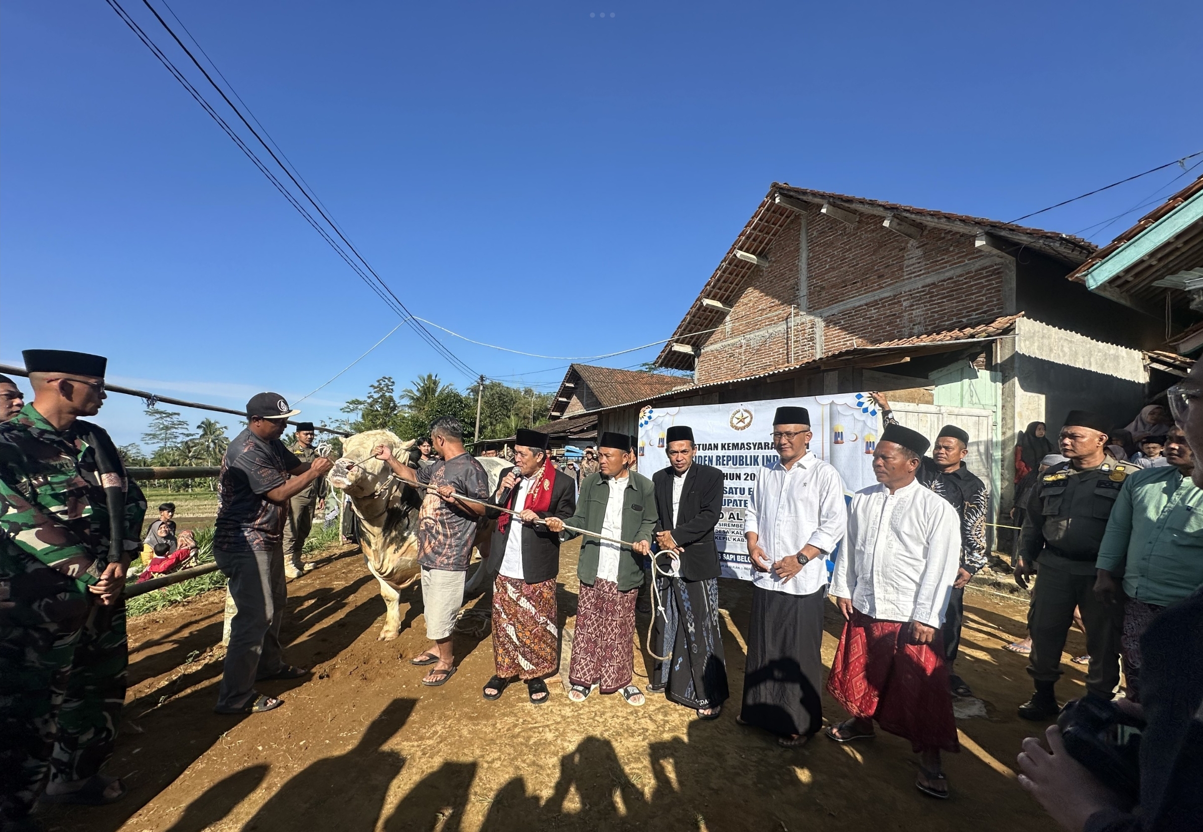 Sapi Kurban Presiden, Idul Adha 2026, Afif Nurhidayat, Desa Kaliwuluh, Pemkab Wonosobo